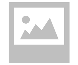 Chicken Poratta (PORATTA SANDWICH)